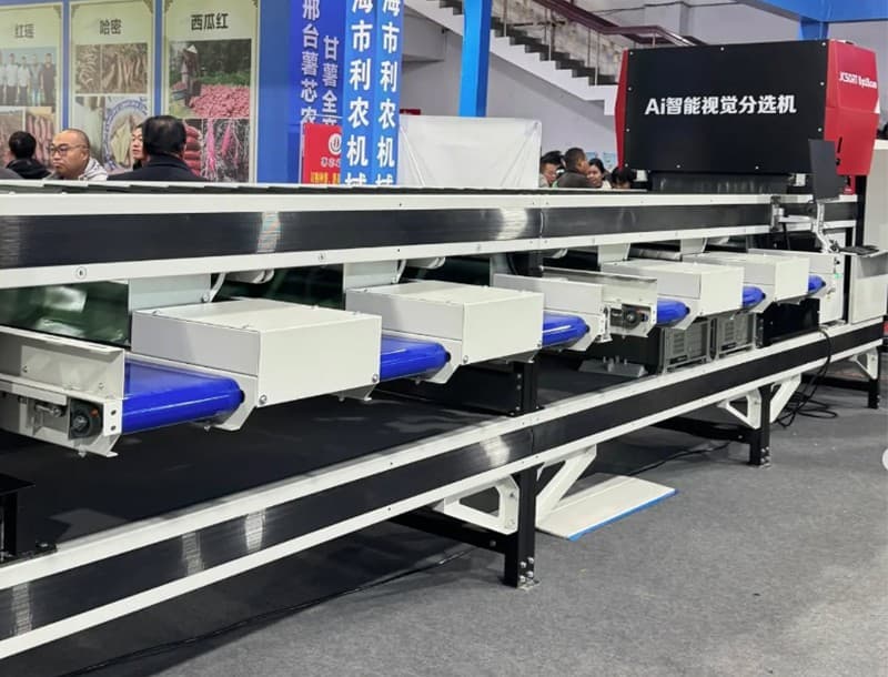 images/1734334573010Máquina clasificadora inteligente de batata AI.jpg